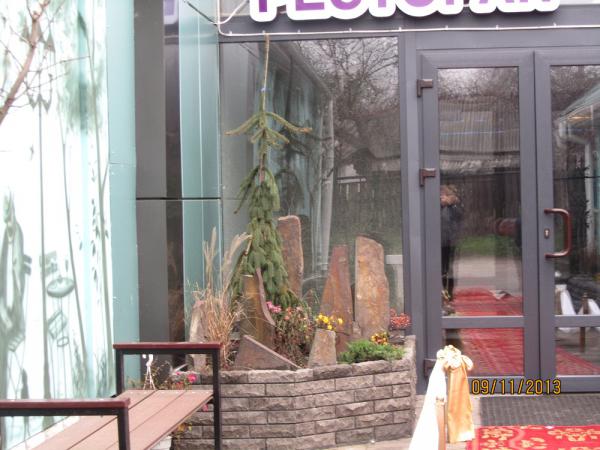 IMG 0242
